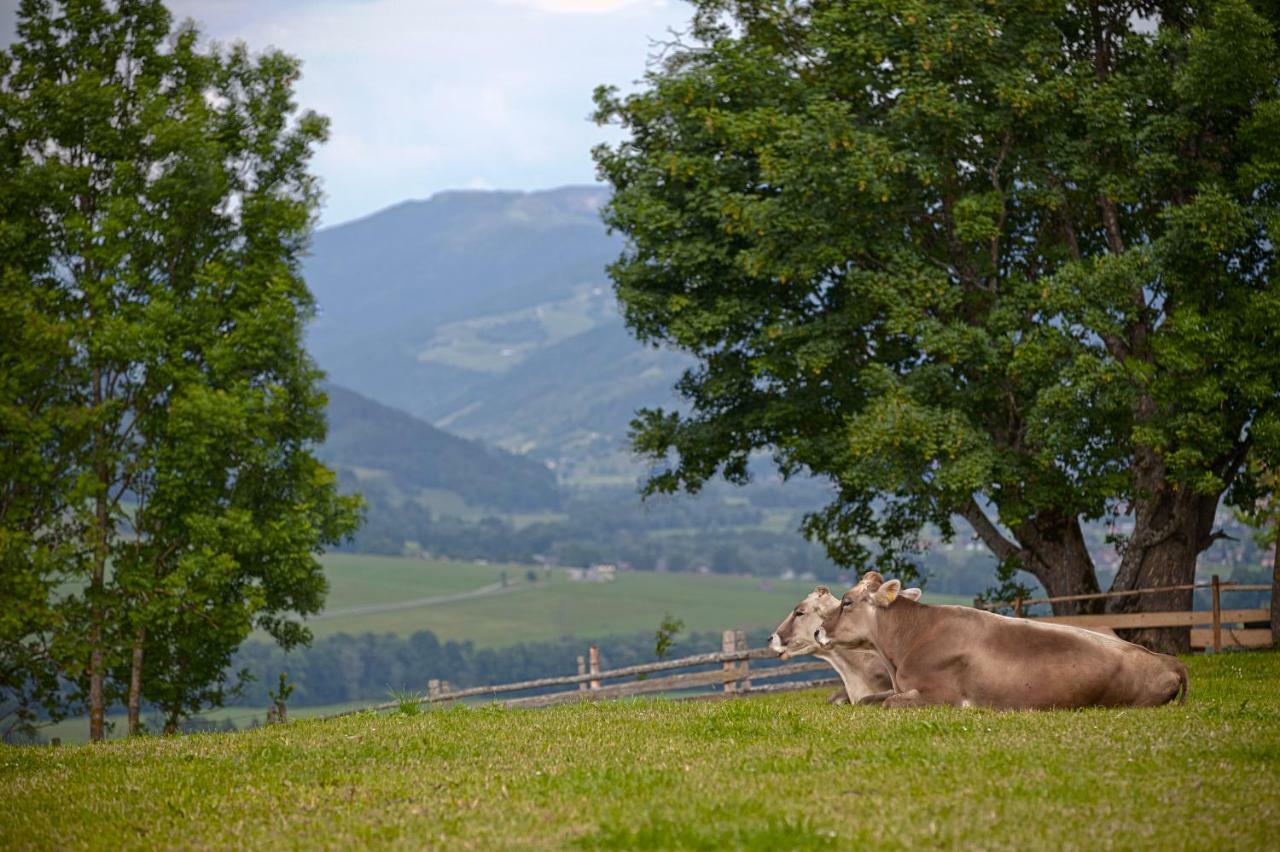 Moserhof Haus im Ennstal Eksteriør billede