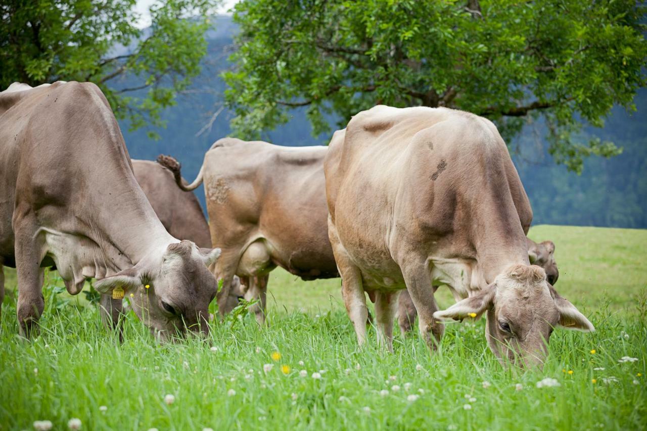 Moserhof Haus im Ennstal Eksteriør billede